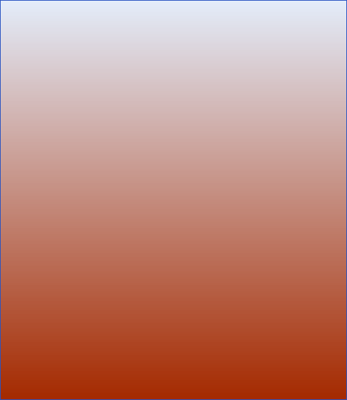  RANGE OFFICER