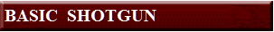  BASIC  SHOTGUN