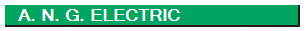     A. N. G. ELECTRIC