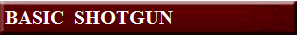  BASIC  SHOTGUN