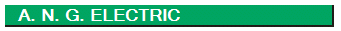     A. N. G. ELECTRIC